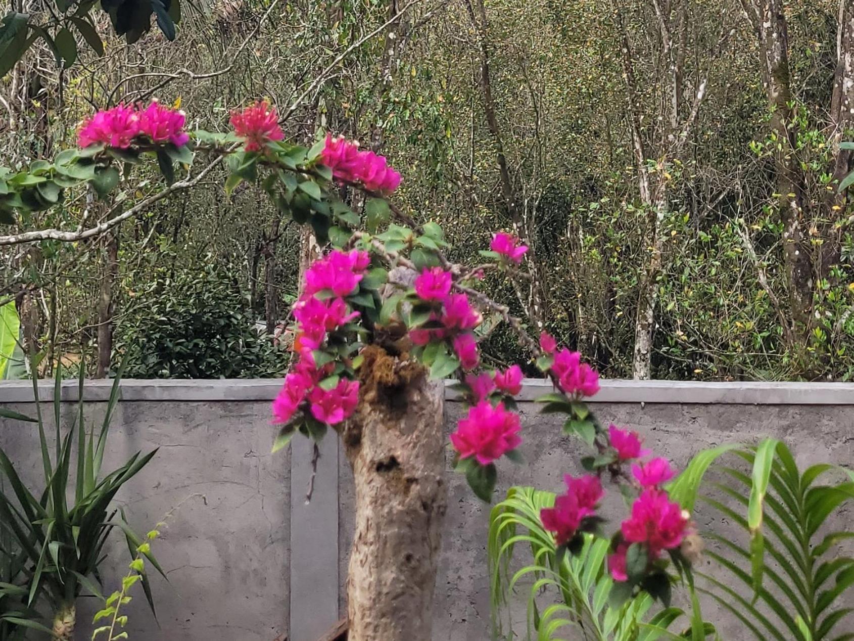 문덕 Umah Yugadi Bali 아파트 외부 사진