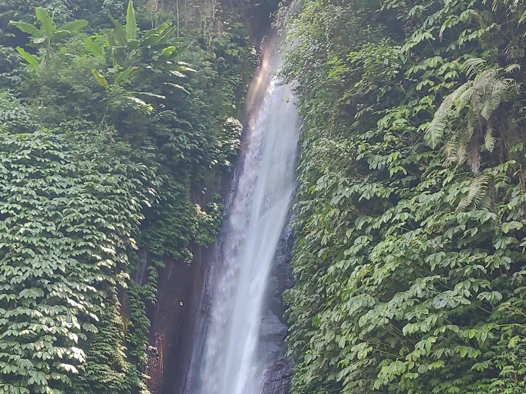 문덕 Umah Yugadi Bali 아파트 외부 사진